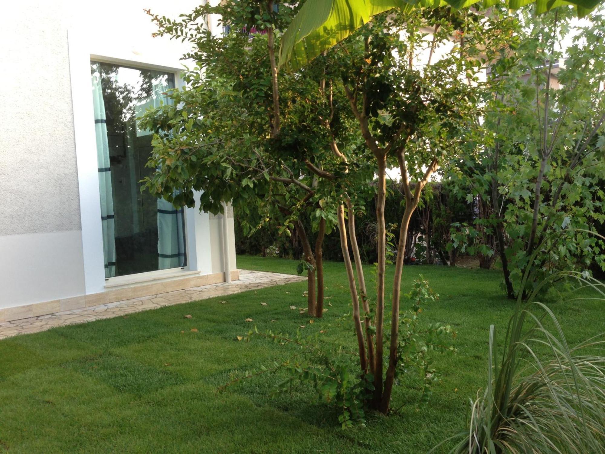 Loft 3, A 150 M Dal Mare, Pineto Centro Daire Dış mekan fotoğraf