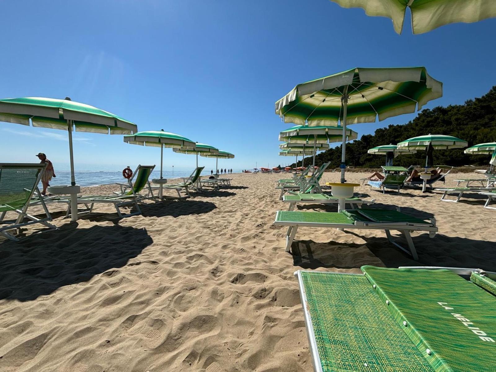 Loft 3, A 150 M Dal Mare, Pineto Centro Daire Dış mekan fotoğraf